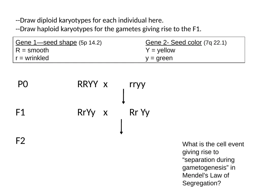 Why do non-Mendelian patterns occur? (When to - slide 11 of 13