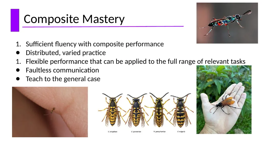 The Instructional Hierarchy: A framework for - slide 18 of 38