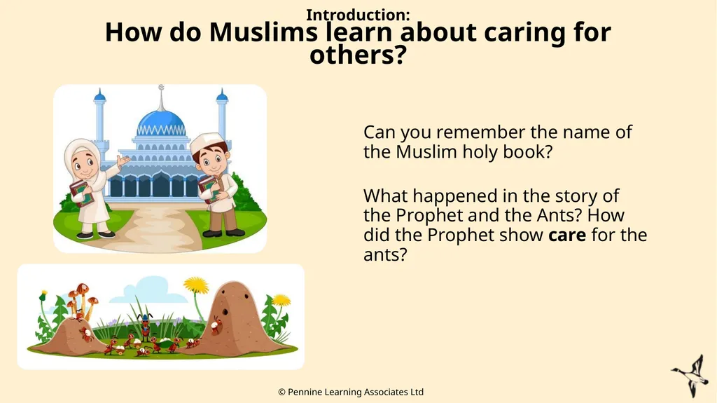 Thank you for using this resource. We hope it - slide 8 of 23