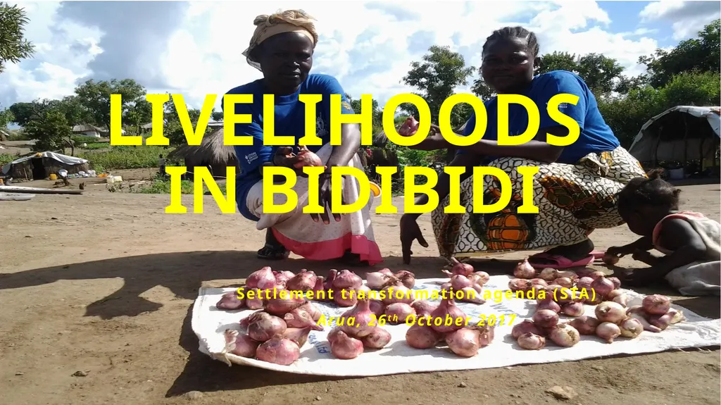 LIVELIHOODS IN BIDIBIDI Settlement transformation - slide 1 of 12