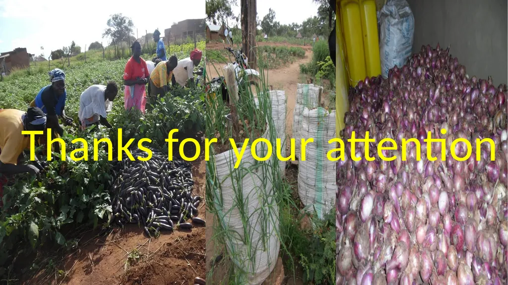 LIVELIHOODS IN BIDIBIDI Settlement transformation - slide 12 of 12