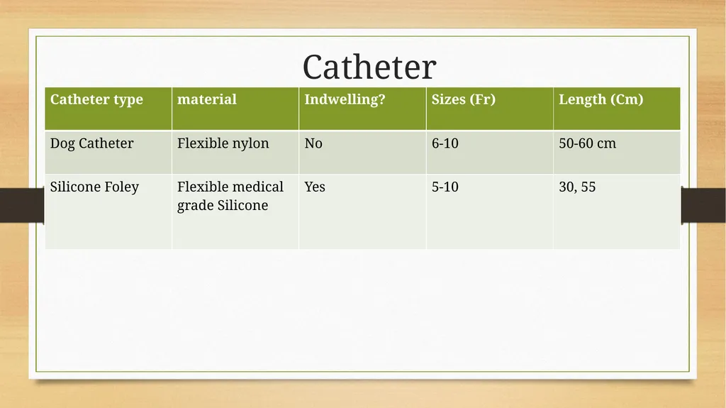 CATHETERIZATION AND URINE COLLECTION IN DOGS DR - slide 6 of 19