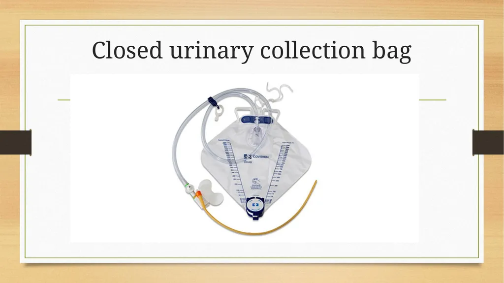 CATHETERIZATION AND URINE COLLECTION IN DOGS DR - slide 9 of 19