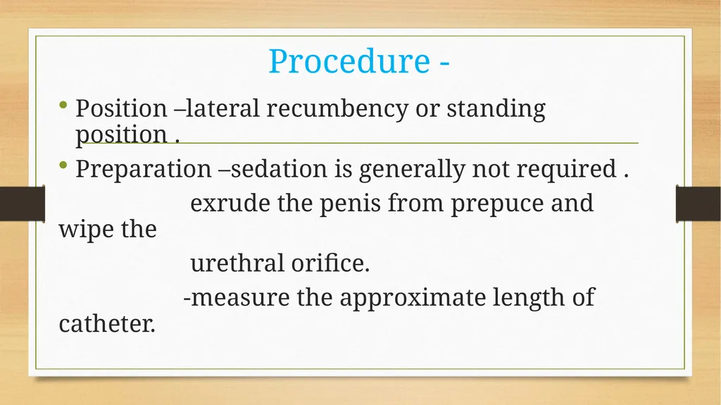 CATHETERIZATION AND URINE COLLECTION IN DOGS DR - slide 12 of 19