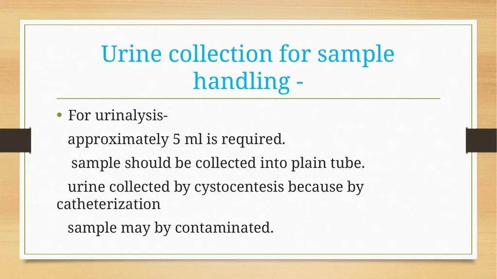 CATHETERIZATION AND URINE COLLECTION IN DOGS DR - slide 17 of 19