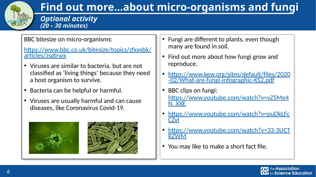 Living things and their habitats Classification of - slide 6 of 8