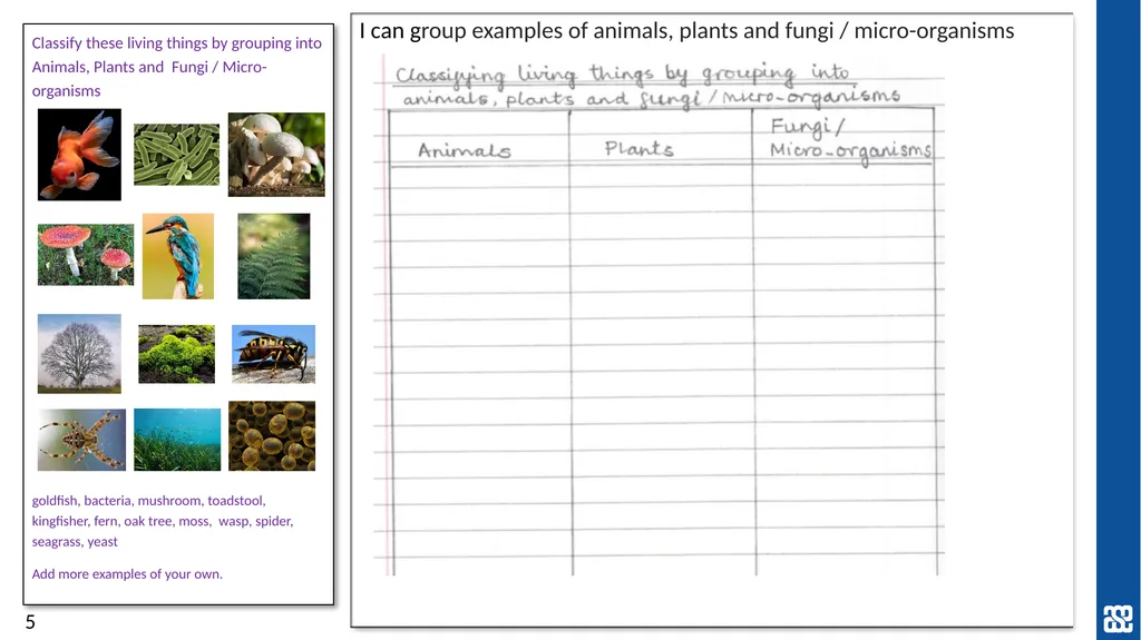 Living things and their habitats Classification of - slide 5 of 8