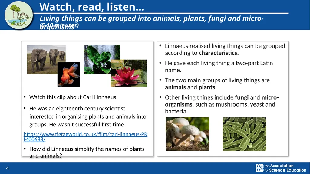 Living things and their habitats Classification of - slide 4 of 8