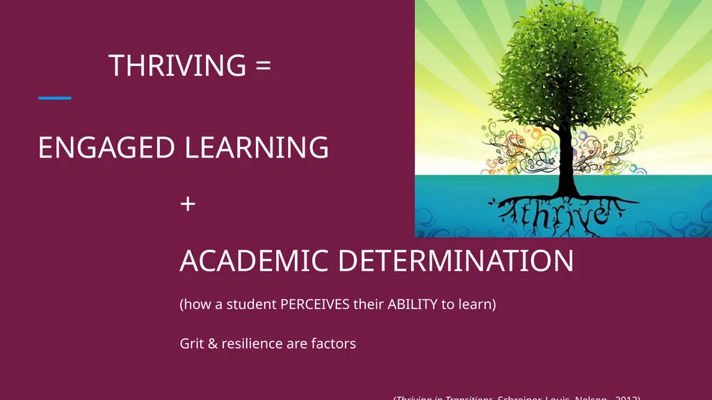 Building GRIT & RESILIENCE A Focus on Student - slide 2 of 25