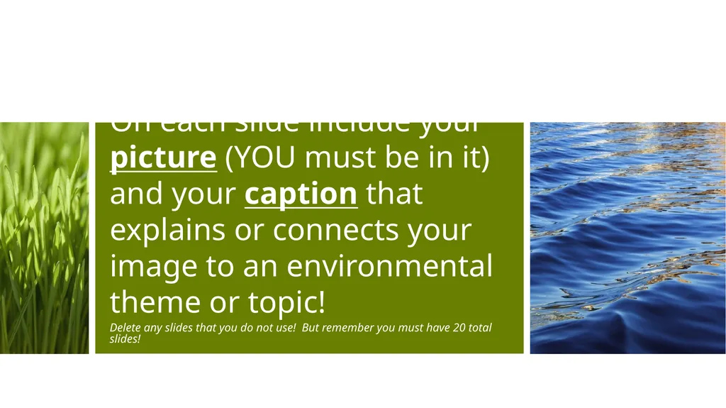 AP Environmental Science Scavenger Hunt Summer - slide 3 of 27