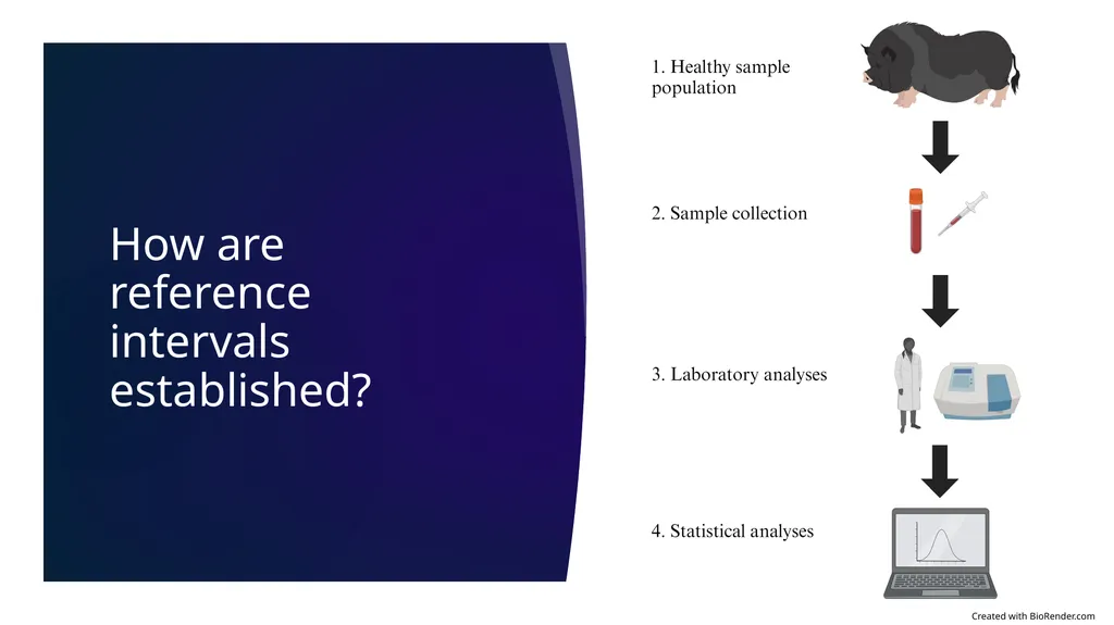 Determination of Reference Intervals for Venous - slide 7 of 27