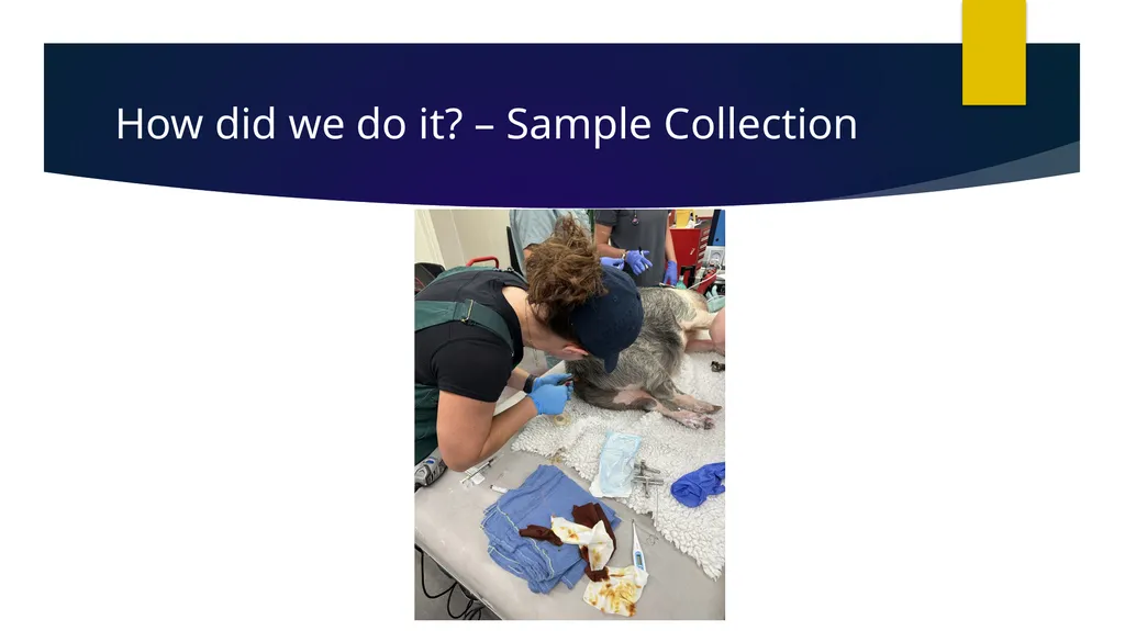 Determination of Reference Intervals for Venous - slide 13 of 27