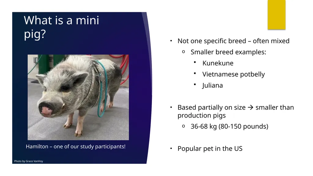 Determination of Reference Intervals for Venous - slide 8 of 27