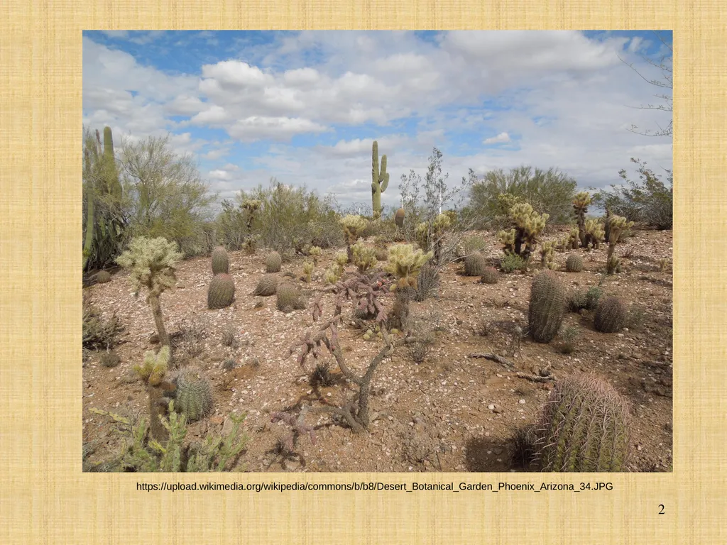 The Mogollon, the Anasazi, and the Hohokam - slide 2 of 62