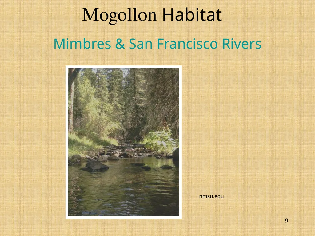 The Mogollon, the Anasazi, and the Hohokam - slide 9 of 62