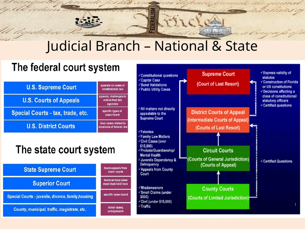 Federalism: Federal, state and local governments - slide 24 of 45