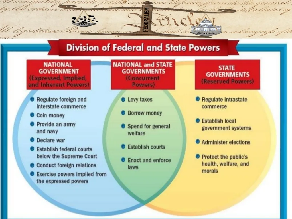 Federalism: Federal, state and local governments - slide 16 of 45