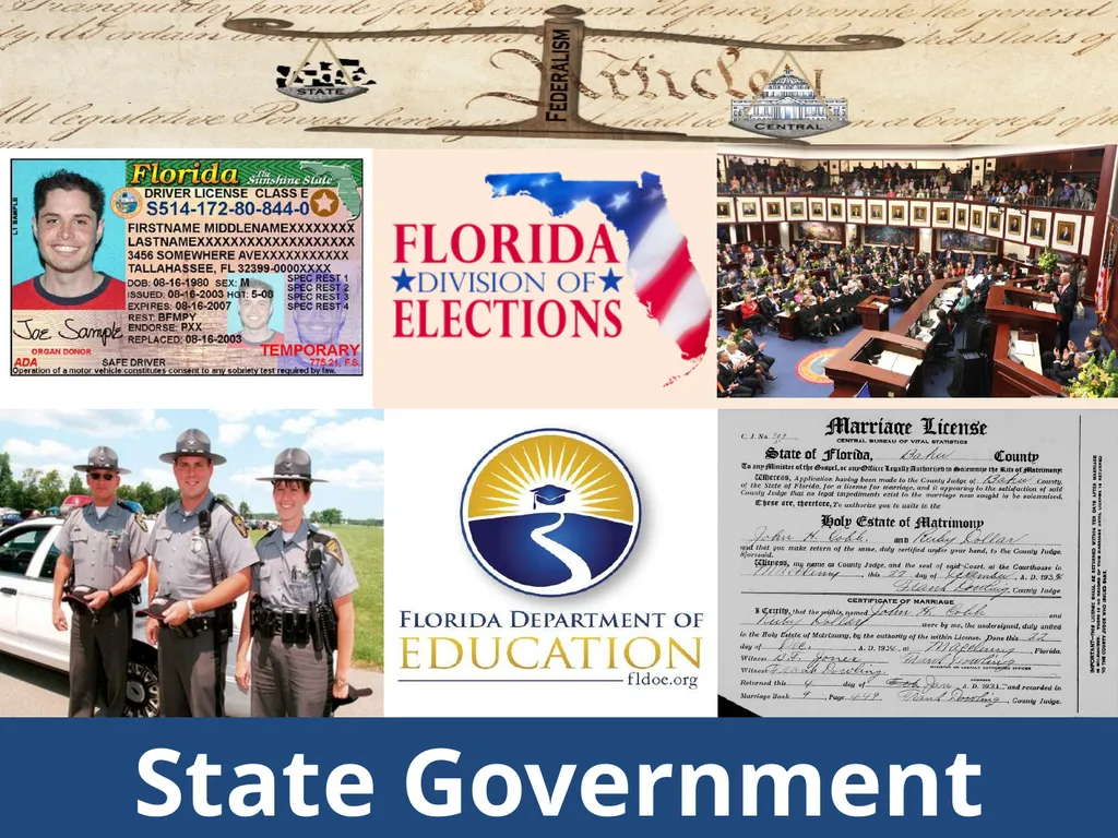Federalism: Federal, state and local governments - slide 7 of 45