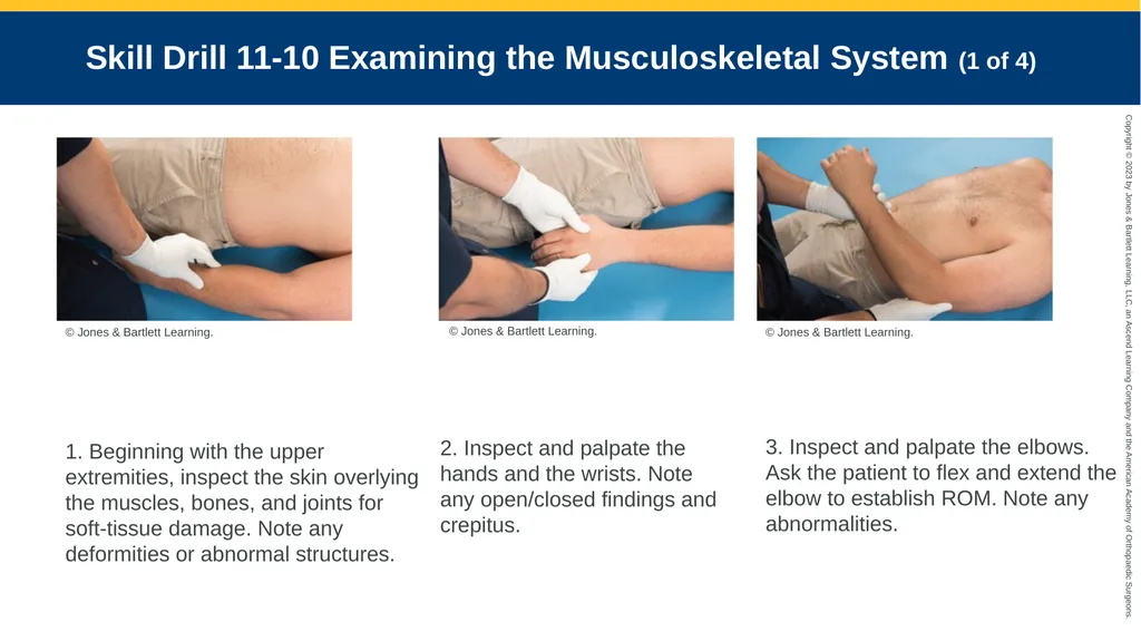 Patient Assessment CHAPTER 11 Skill Drill 11-1 - slide 28 of 40