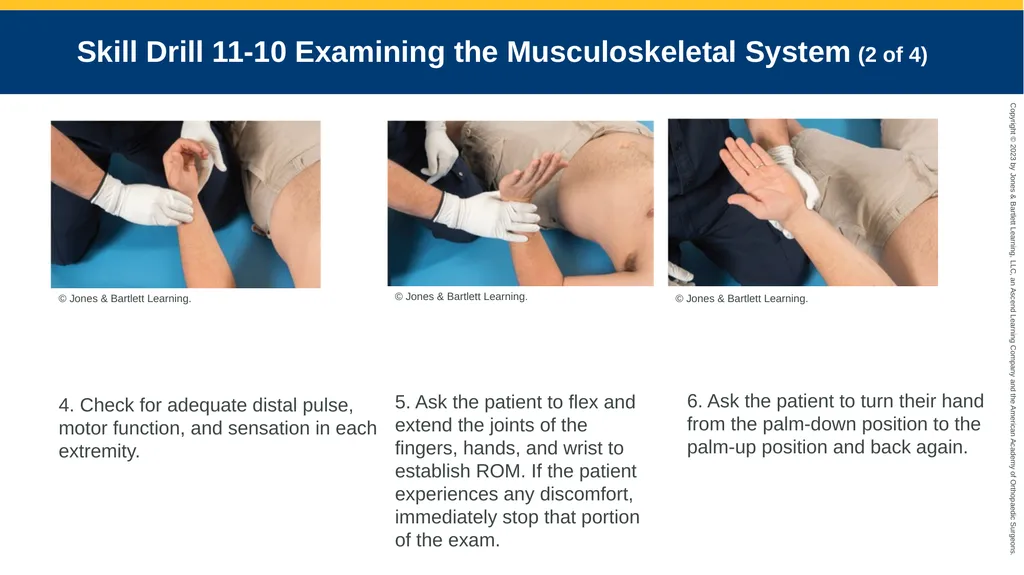Patient Assessment CHAPTER 11 Skill Drill 11-1 - slide 29 of 40