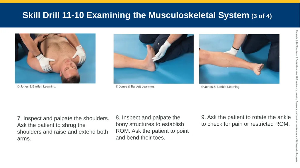 Patient Assessment CHAPTER 11 Skill Drill 11-1 - slide 30 of 40