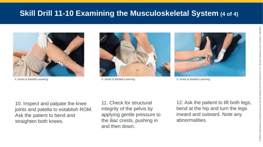 Patient Assessment CHAPTER 11 Skill Drill 11-1 - slide 31 of 40