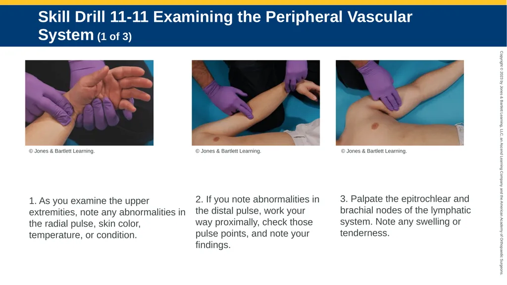 Patient Assessment CHAPTER 11 Skill Drill 11-1 - slide 32 of 40