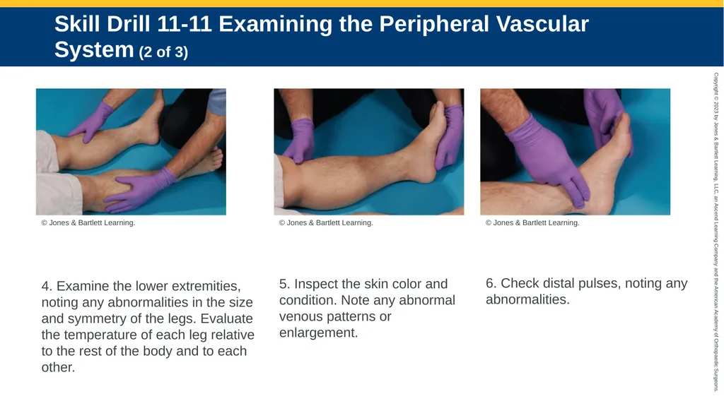 Patient Assessment CHAPTER 11 Skill Drill 11-1 - slide 33 of 40