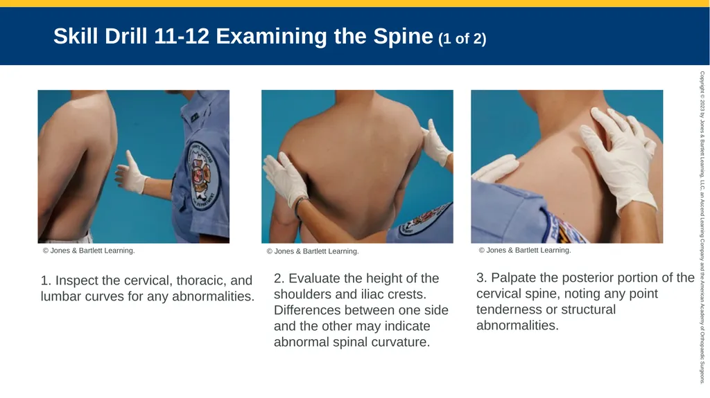 Patient Assessment CHAPTER 11 Skill Drill 11-1 - slide 35 of 40