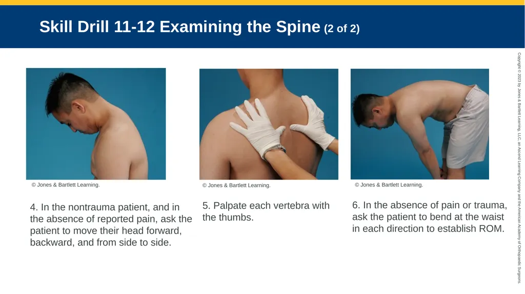 Patient Assessment CHAPTER 11 Skill Drill 11-1 - slide 36 of 40