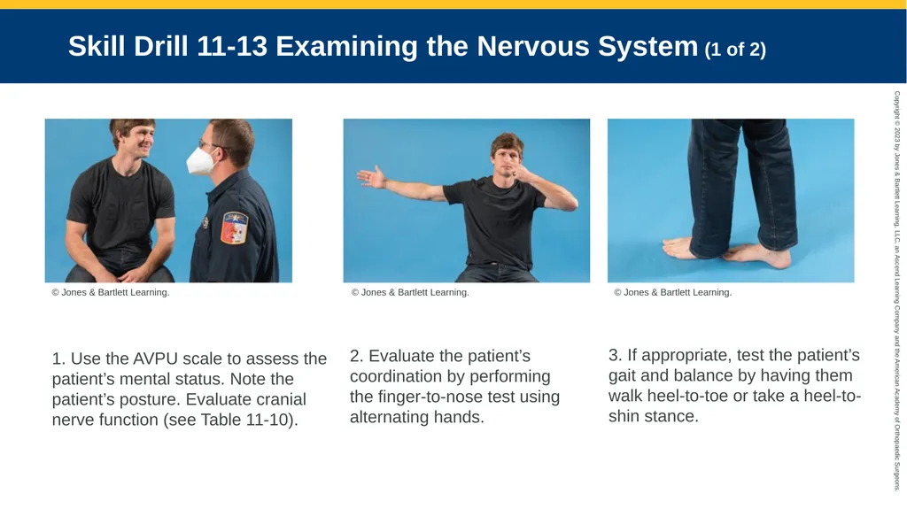 Patient Assessment CHAPTER 11 Skill Drill 11-1 - slide 37 of 40