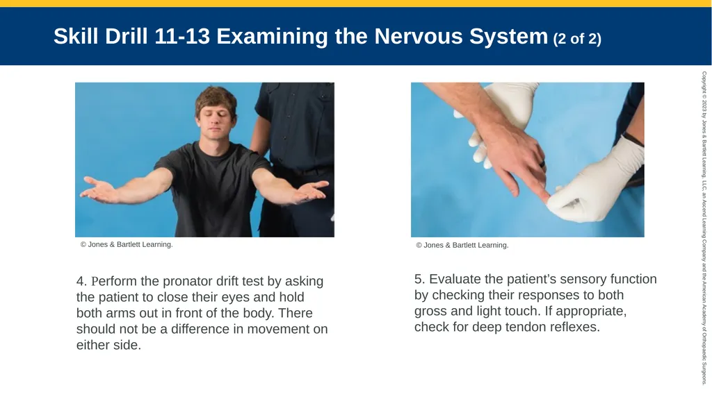 Patient Assessment CHAPTER 11 Skill Drill 11-1 - slide 38 of 40