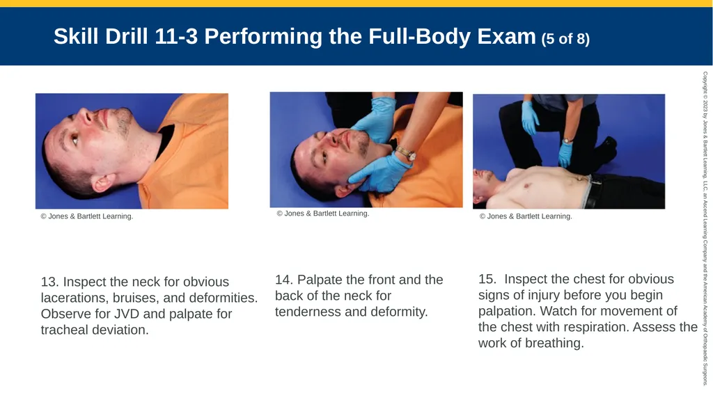 Patient Assessment CHAPTER 11 Skill Drill 11-1 - slide 11 of 40