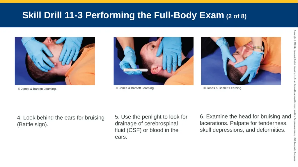 Patient Assessment CHAPTER 11 Skill Drill 11-1 - slide 8 of 40