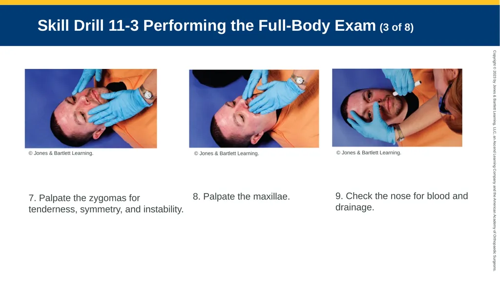 Patient Assessment CHAPTER 11 Skill Drill 11-1 - slide 9 of 40