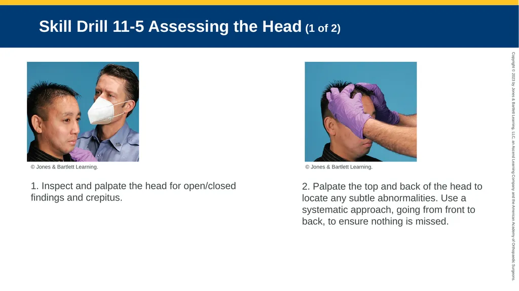 Patient Assessment CHAPTER 11 Skill Drill 11-1 - slide 17 of 40