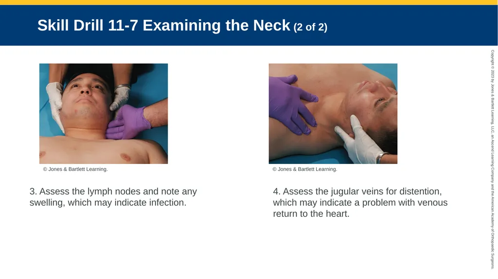 Patient Assessment CHAPTER 11 Skill Drill 11-1 - slide 22 of 40