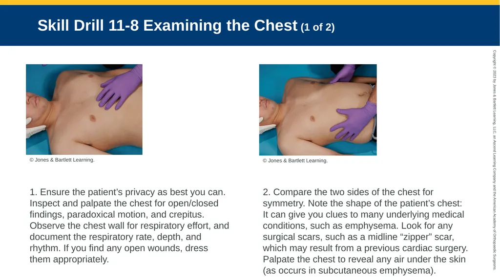 Patient Assessment CHAPTER 11 Skill Drill 11-1 - slide 23 of 40