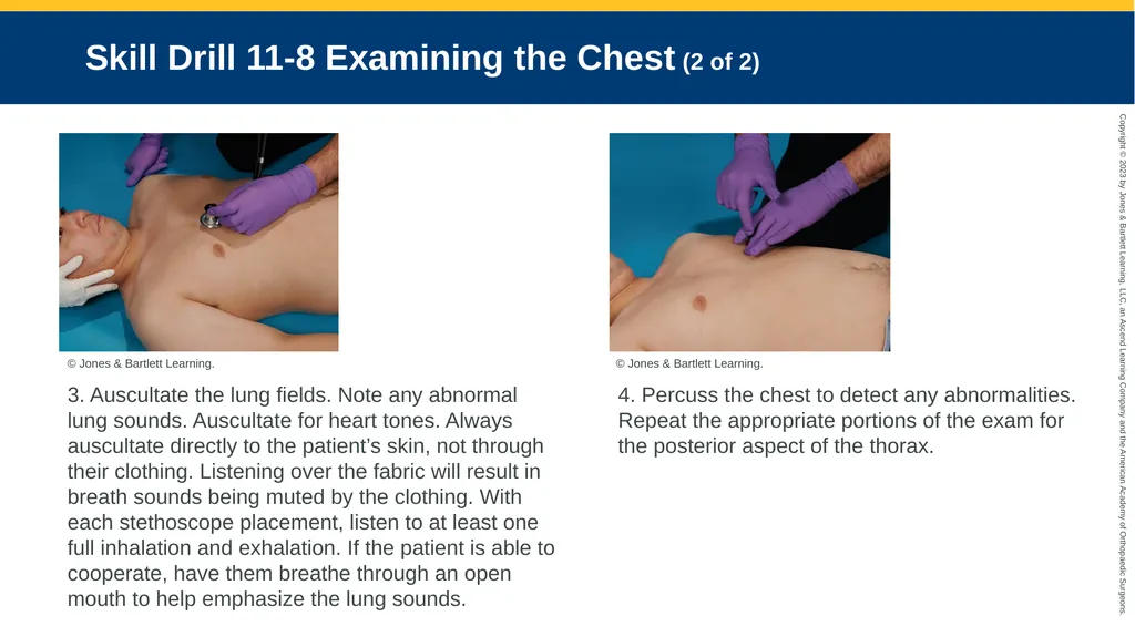 Patient Assessment CHAPTER 11 Skill Drill 11-1 - slide 24 of 40