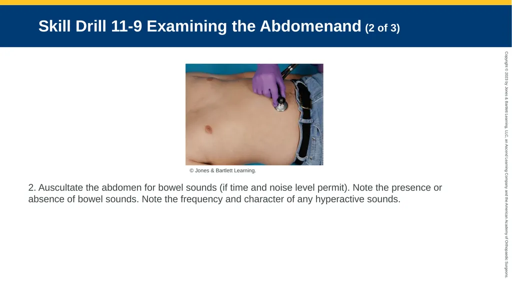 Patient Assessment CHAPTER 11 Skill Drill 11-1 - slide 26 of 40