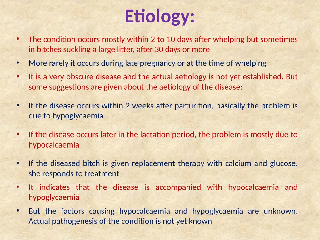 Eclampsia in Bitches The condition is also known - slide 3 of 11