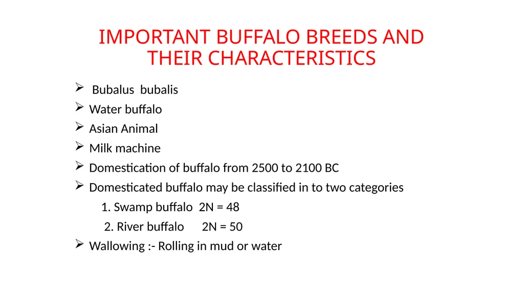 IMPORTANT BUFFALO BREEDS AND THEIR CHARACTERISTICS - slide 1 of 12