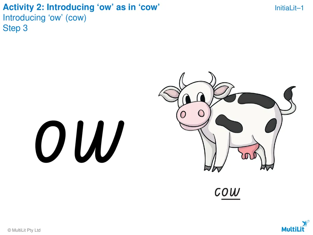 Copyright warning Sharing, copying, reproduction - slide 29 of 68