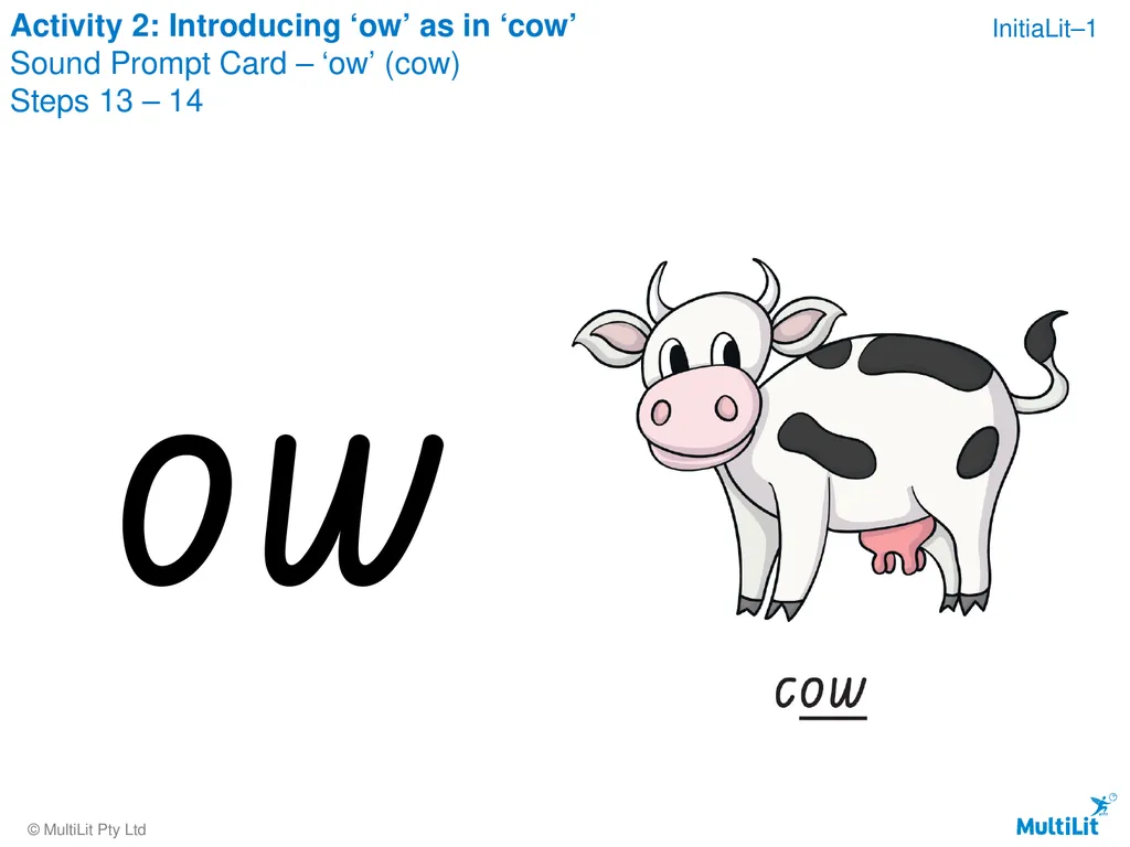 Copyright warning Sharing, copying, reproduction - slide 32 of 68