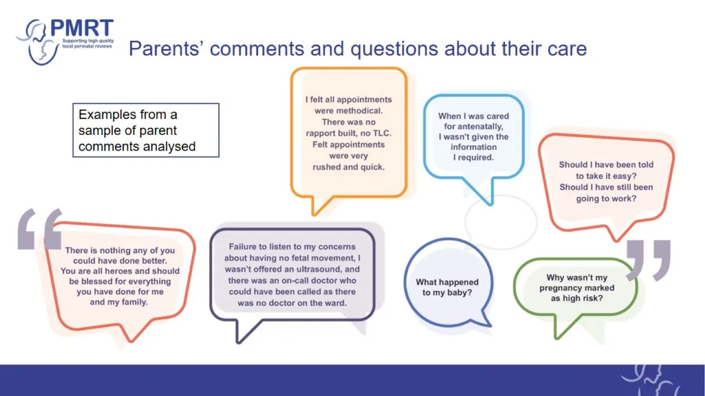 The PMRT – a tool designed to support: Annual - slide 8 of 28