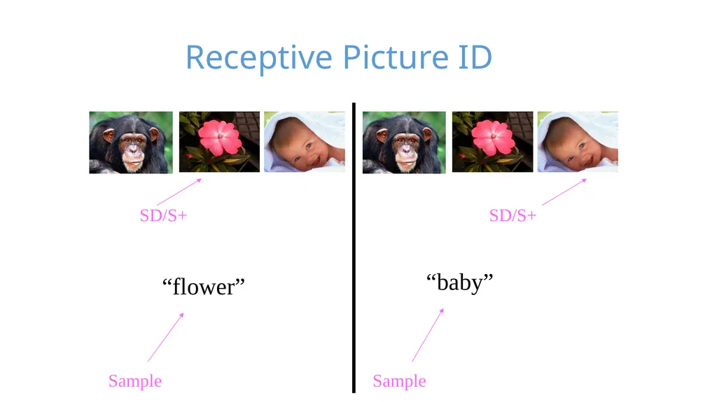 Stimulus Control Stimulus Control of Behavior - slide 41 of 57