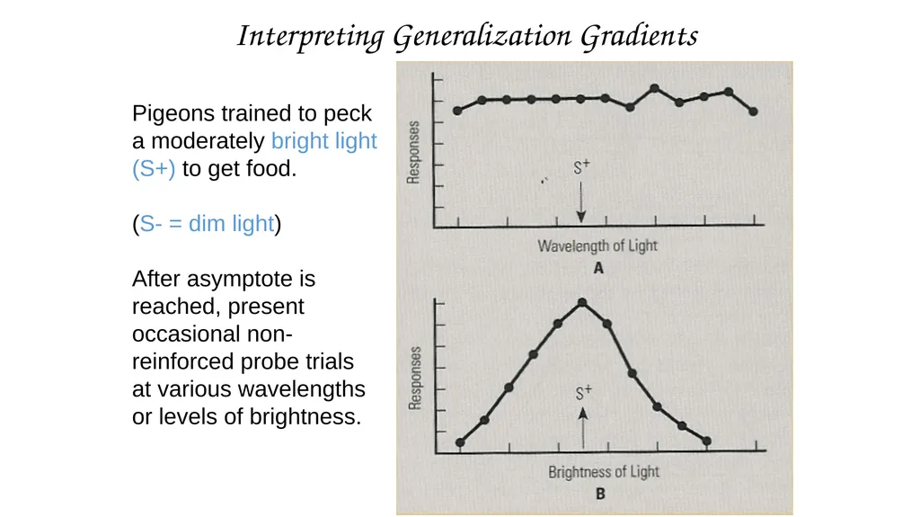 Stimulus Control Stimulus Control of Behavior - slide 14 of 57