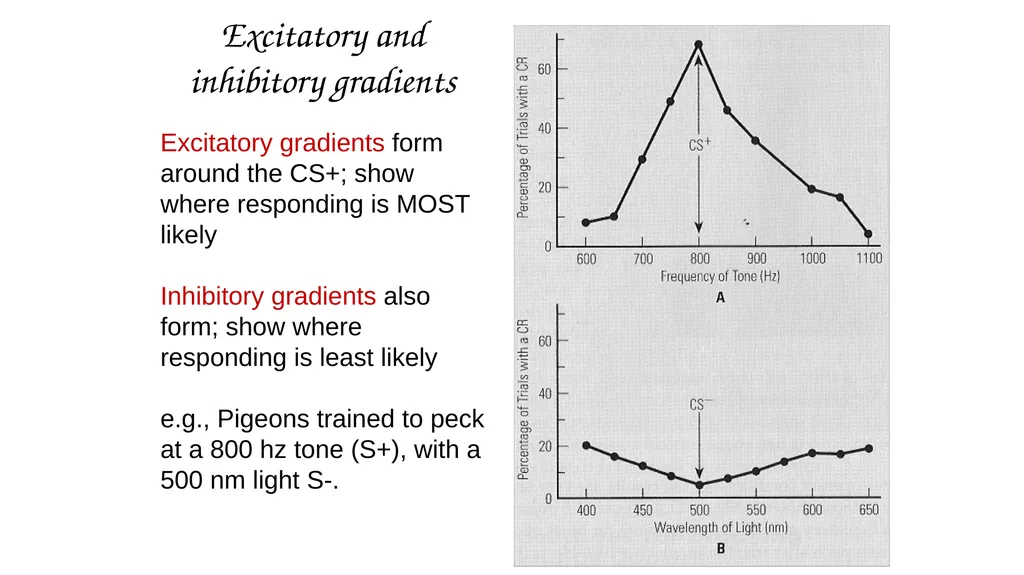 Stimulus Control Stimulus Control of Behavior - slide 15 of 57