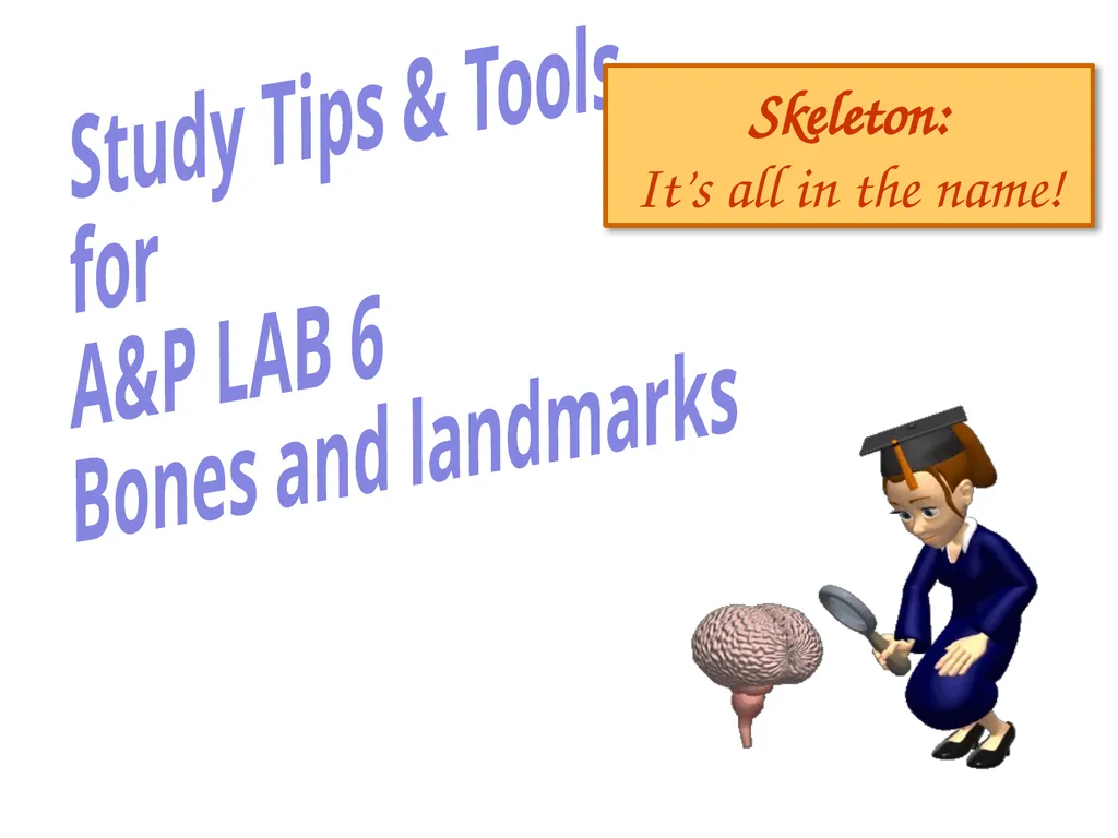 Study Tips & Tools for A&P LAB 6 Bones and - slide 1 of 36