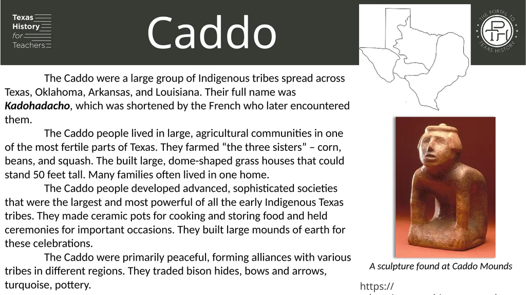 Unit 1: Natural Texas and Its People Lesson 5: - slide 11 of 24